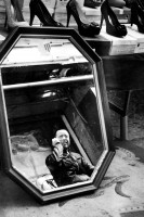 /album/galleria-fotografica/a417426-2621981788459-2015312325-n-jpg/