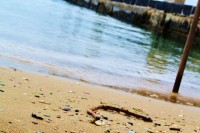 /album/landscape/a248532-1741230690232-4240835-n-jpg/