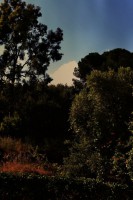 /album/landscape/a249503-1754025490094-3964343-n-jpg/