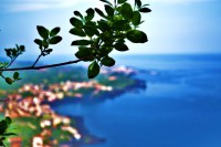 /album/landscape/a253610-1734913772313-326969-n-jpg/