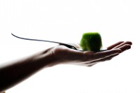 /album/landscape/a405226-2350128712302-429144603-n-jpg/