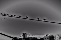 /album/landscape/a1504004-797624553586926-1252582053-n-jpg/